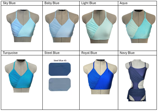 BGT-101 Lyrical Contemporary Jazz Dance Costume